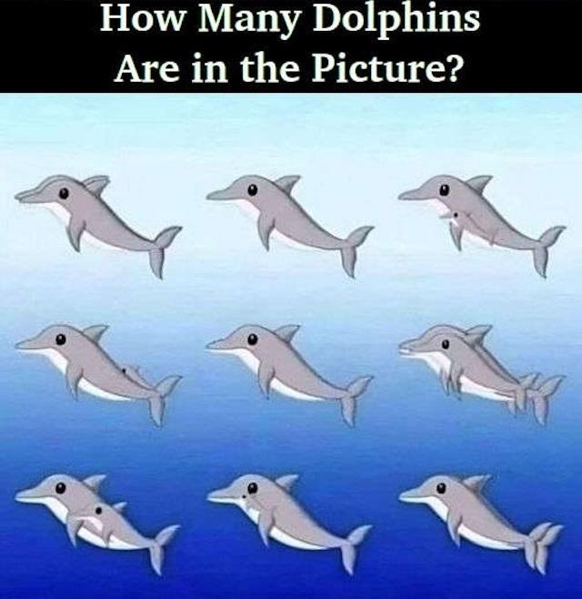 RIDDLE: How Many Dolphins Are in the Picture?