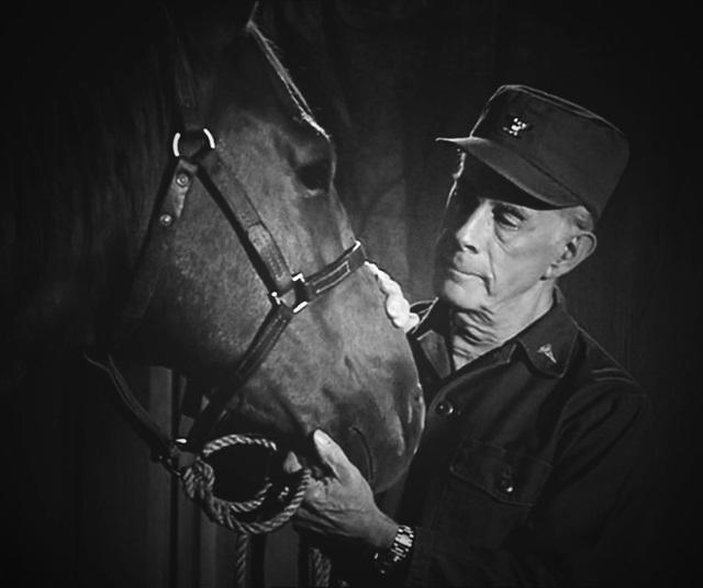 Harry Morgan, playing Colonel Potter on M*A*S*H, shares a tender moment with Sophie, his beloved horse — which in reality belonged to Morgan himself